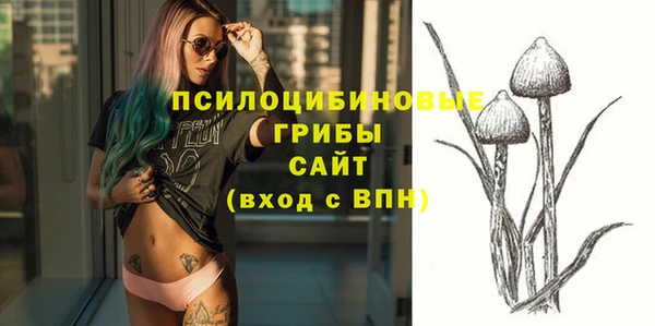 ГАЛЛЮЦИНОГЕННЫЕ ГРИБЫ Армянск
