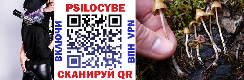 Галлюциногенные грибы прущие грибы  купить наркоту  Сланцы 